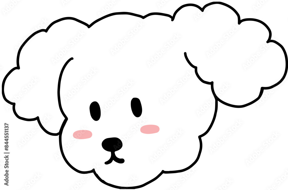 푸들 푸들