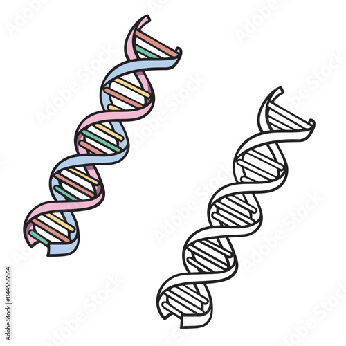 dna drawing with line art style. Simple design outline style. You can change color you want. Dna vector illustration