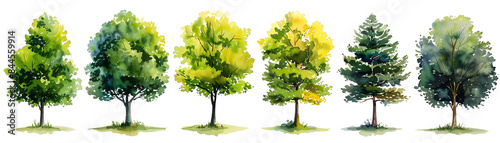 set of tree water color , on white background