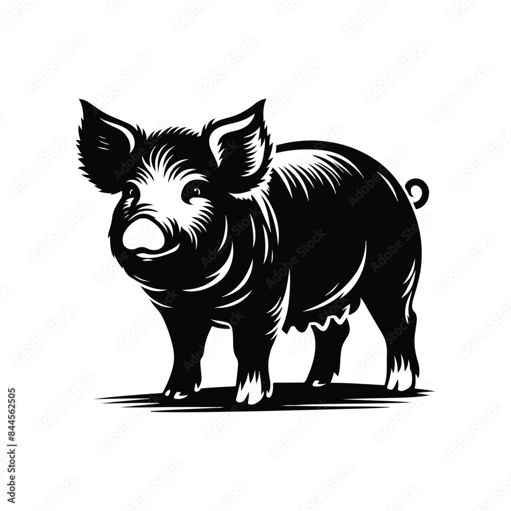 Fototapeta premium Pig Animal black silhouette vector with white color background