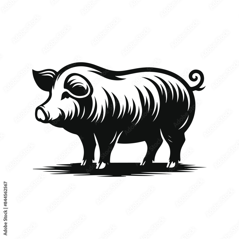 Fototapeta premium Pig Animal black silhouette vector with white color background
