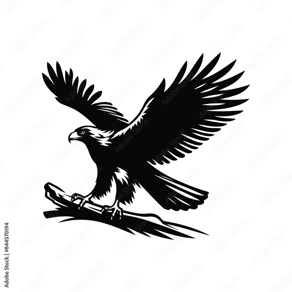 Fototapeta premium Hawk Animal black silhouette vector with white color background