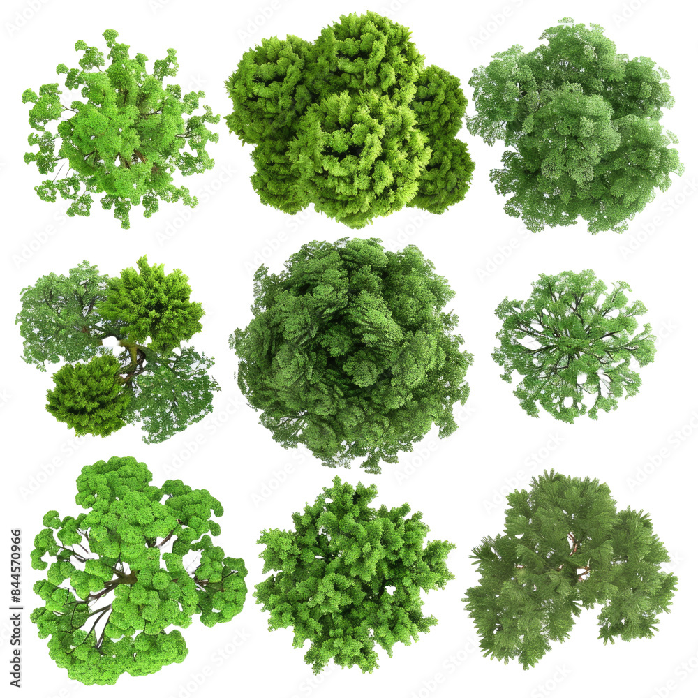 Collection of 3D Top view Green Trees Isolated on the background Collection of 3D Top view Green Trees Isolated on the background
