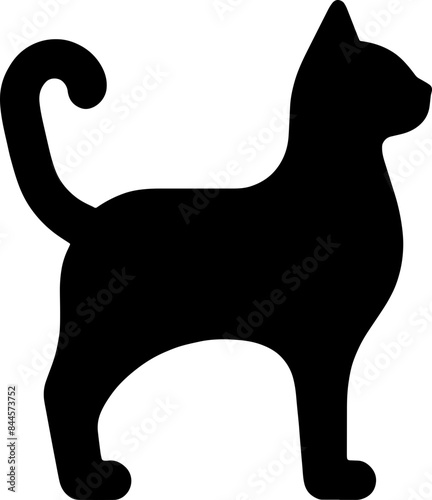 고양이