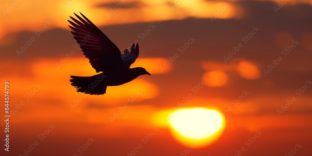 Fototapeta premium Silhouetted bird in flight captures the mesmerizing beauty of a vibrant orange sky at sunset, symbolizing freedom, elegance, and the serene transition from day to night.