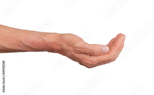 Hand in a cupped shape, isolated on white background. Gesture indicating offering or begging, ideal for support and interaction concepts. Close up view showing detail., transparent PNG © valiantsin