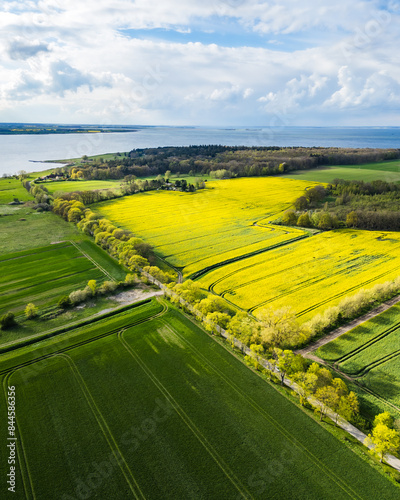 Areal shot of blooming rape field in Mecklenburg-Vorpommern at the baltic sea..
