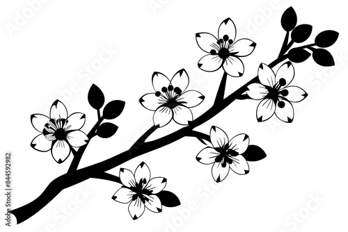 cherry blossom flower silhouette vector illustration