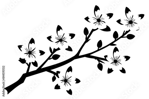 cherry blossom flower silhouette vector illustration
