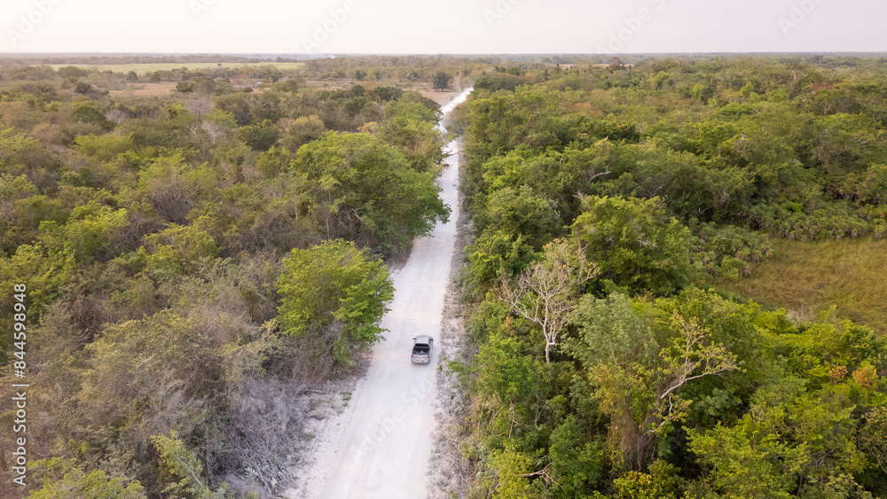 vehiculo seguido por drone por terraceria camino o brecha en el bosque dentro de la jungla paisaje arbolado camioneta todo terreno troca pasando por la terraceria en Corozal belice vehiculo seguido por drone por terraceria camino o brecha en el bosque dentro de la jungla paisaje arbolado camioneta todo terreno troca pasando por la terraceria en Corozal belice