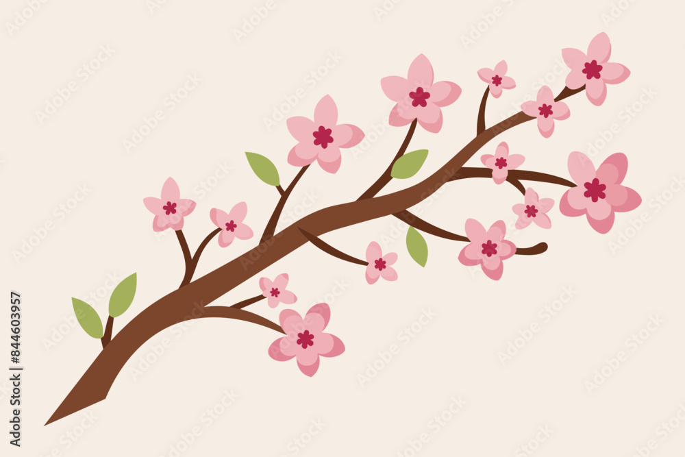 cherry blossom flower vector illustration cherry blossom flower vector illustration