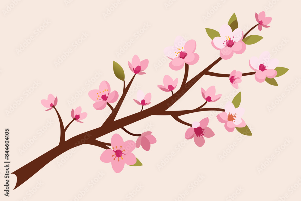 cherry blossom flower vector illustration cherry blossom flower vector illustration