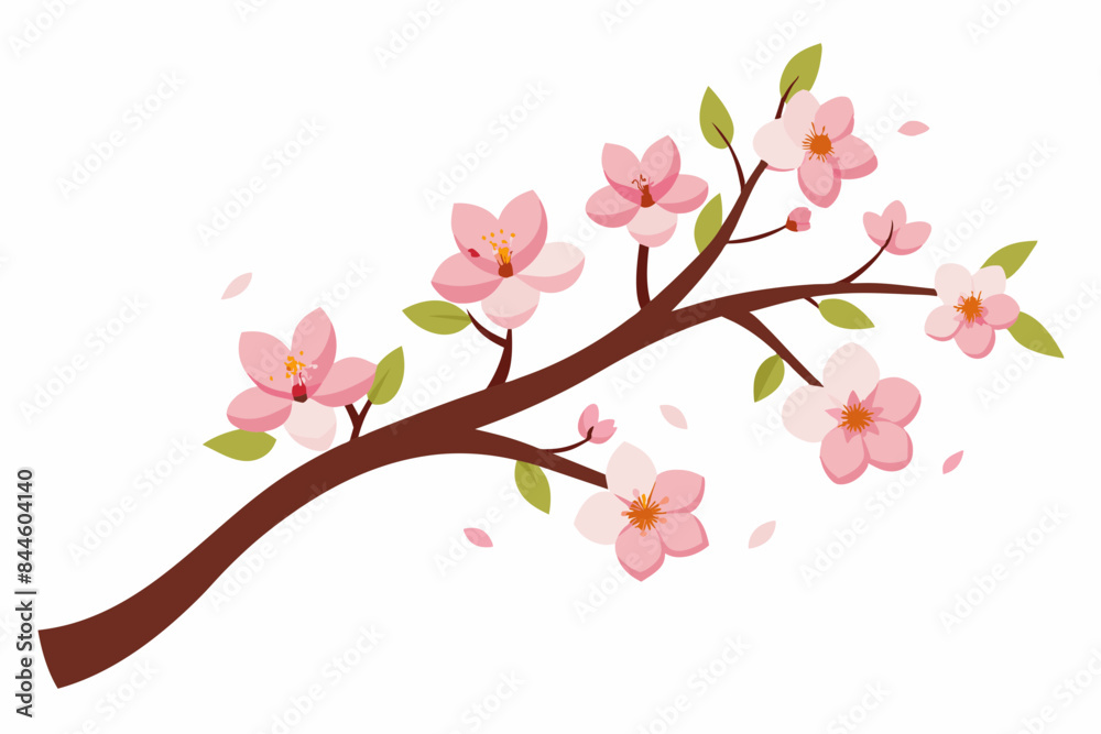 cherry blossom flower vector illustration cherry blossom flower vector illustration