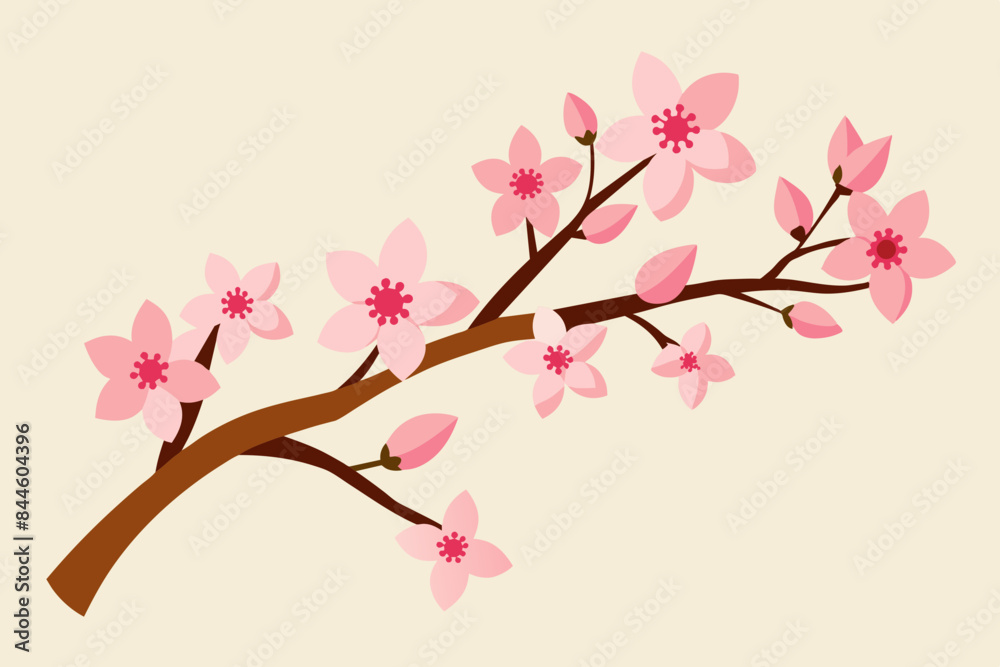 cherry blossom flower vector illustration cherry blossom flower vector illustration