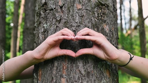 Environmental protection, eco concept. Close-up of female hands hugging tree and showing hand gesture heart sign of love in nature photo