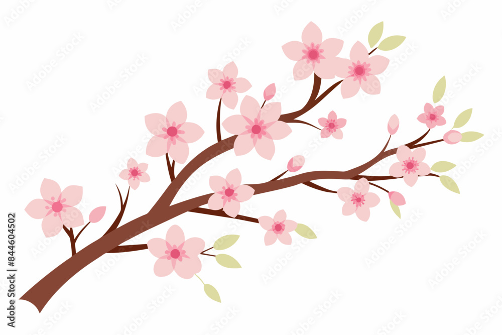 cherry blossom flower vector illustration cherry blossom flower vector illustration