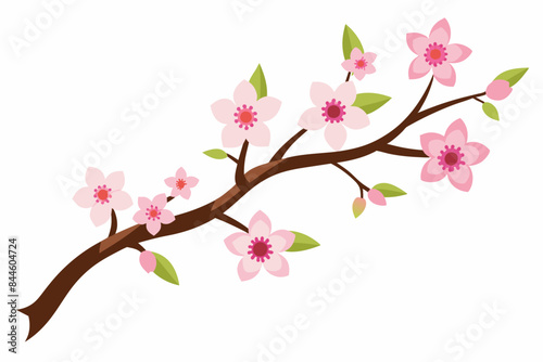 cherry blossom flower vector illustration