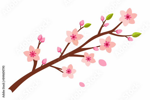 cherry blossom flower vector illustration