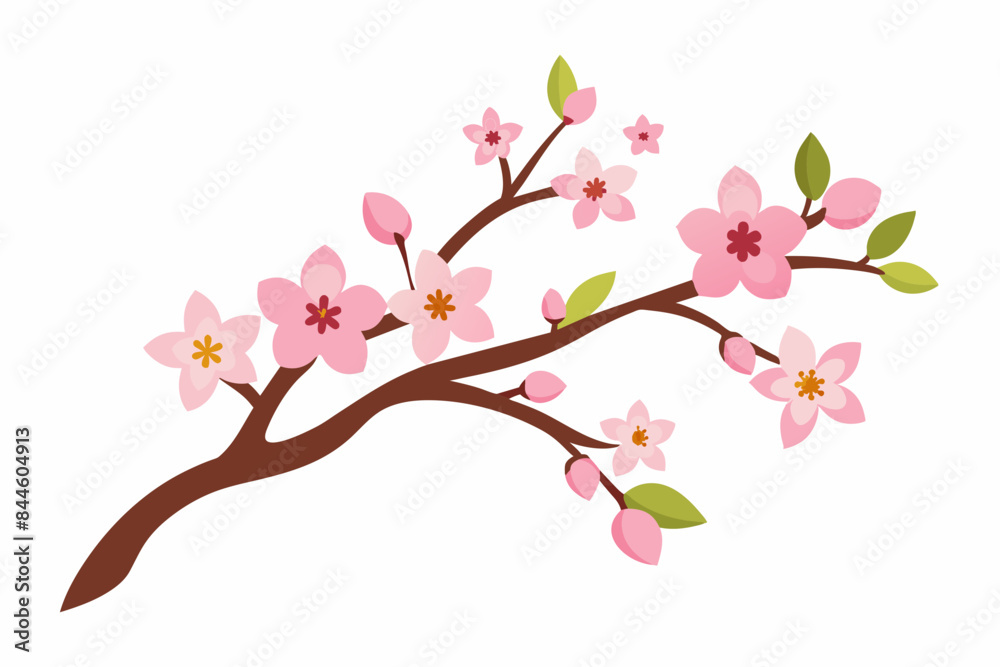 cherry blossom flower vector illustration cherry blossom flower vector illustration