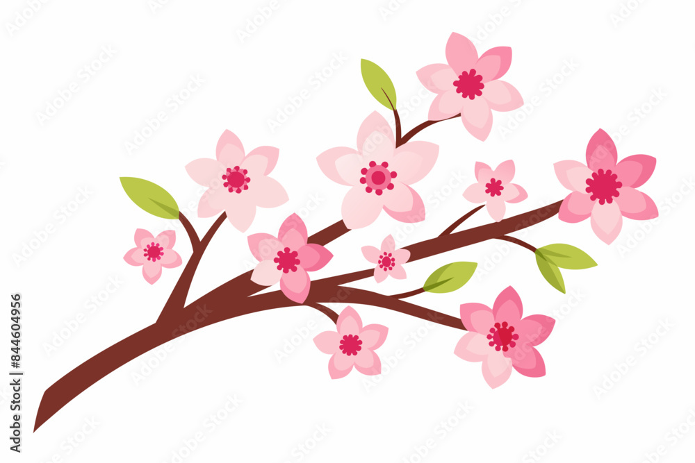cherry blossom flower vector illustration cherry blossom flower vector illustration
