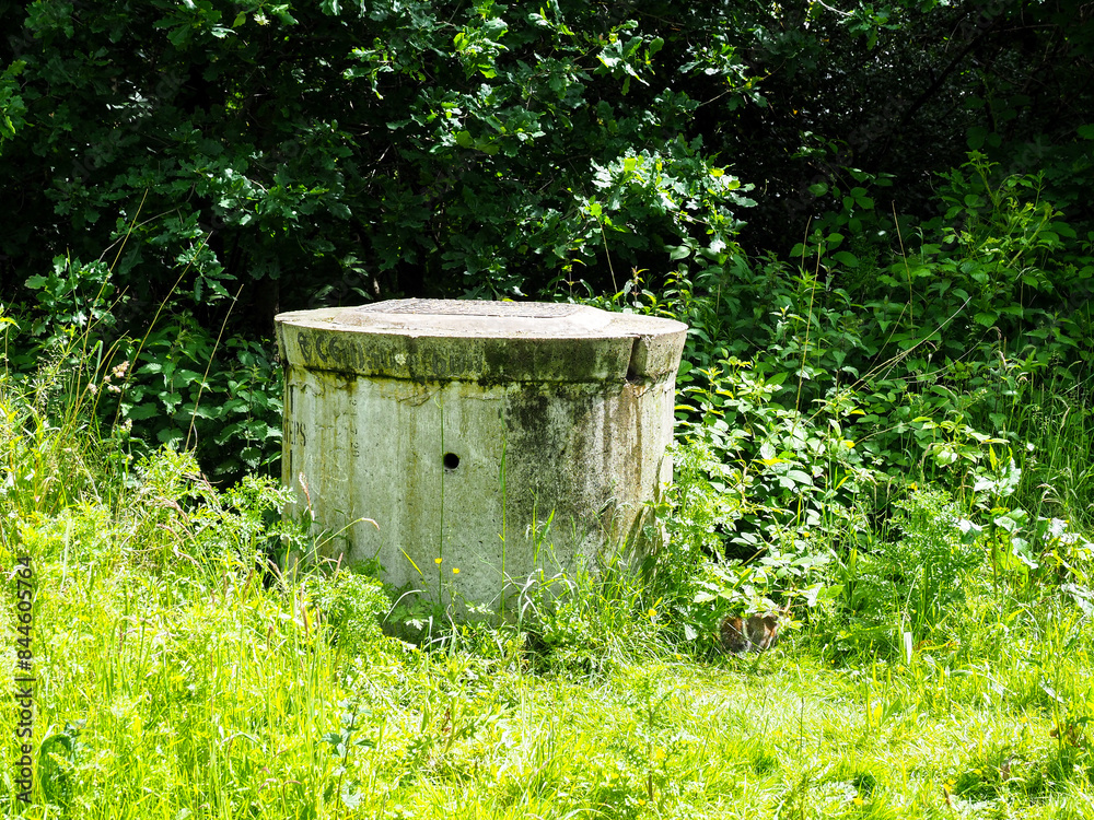 A moss-covered concrete well top surrounded by lush green vegetation in a serene forest. A moss-covered concrete well top surrounded by lush green vegetation in a serene forest.