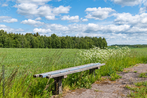 wooden bench at the edge of the meadow - bus stop