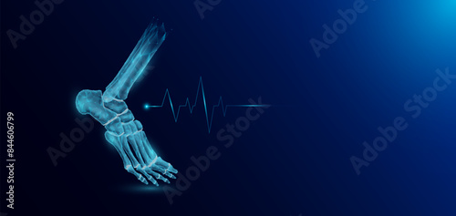 Ankle joint bone human organ skeleton anatomy in form style polygon low poly futuristic and pulse wave glowing. Medical science template banner with empty space for text. Vector EPS10 illustration.