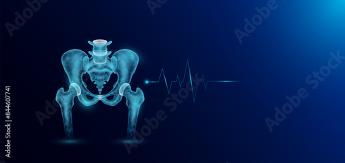 Pelvis bone human organ skeleton anatomy in form style polygon low poly futuristic and pulse wave glowing. Medical science template banner with empty space for text. Vector EPS10 illustration.