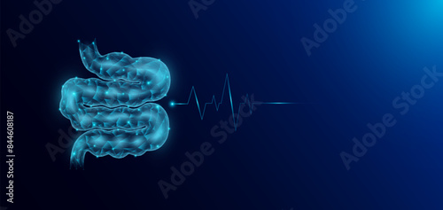 Small intestine human organ anatomy in form style polygon low poly futuristic and pulse wave glowing. Medical science template banner with empty space for text. Vector EPS10 illustration.