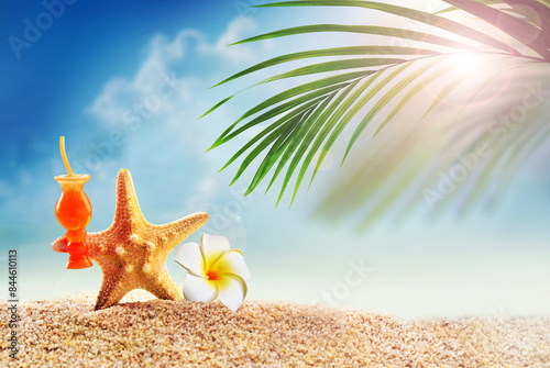 Starfish and palm on the sandy beach. Summer time.