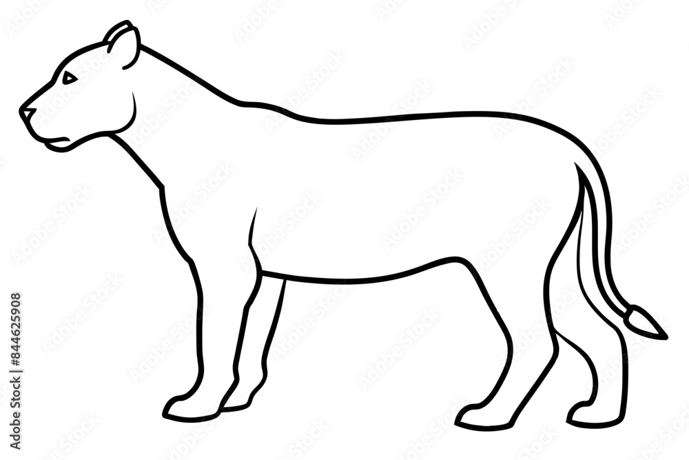 animal outline vector silhouette illustration 