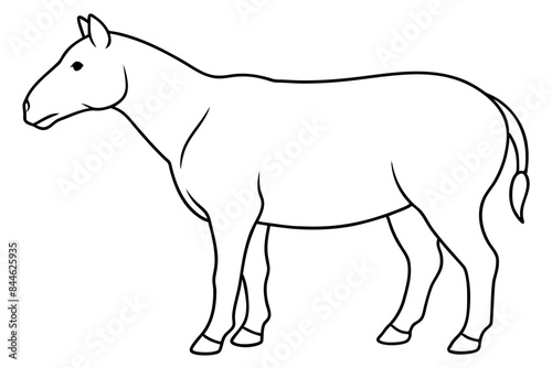 animal outline vector silhouette illustration 