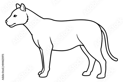 animal outline vector silhouette illustration 