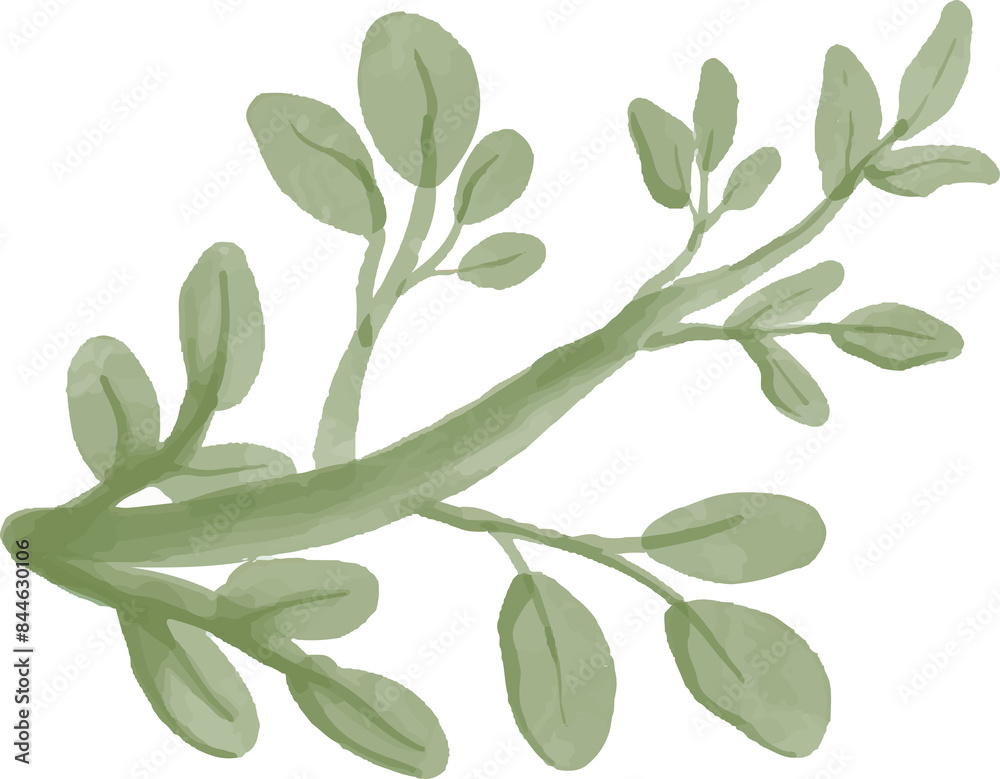 Fototapeta premium branches and leaves watercolor