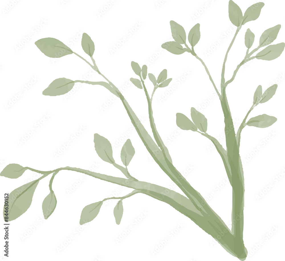 Obraz premium branches and leaves watercolor