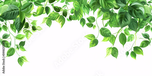 Wallpaper Mural illustration of green leaves with copy space Torontodigital.ca