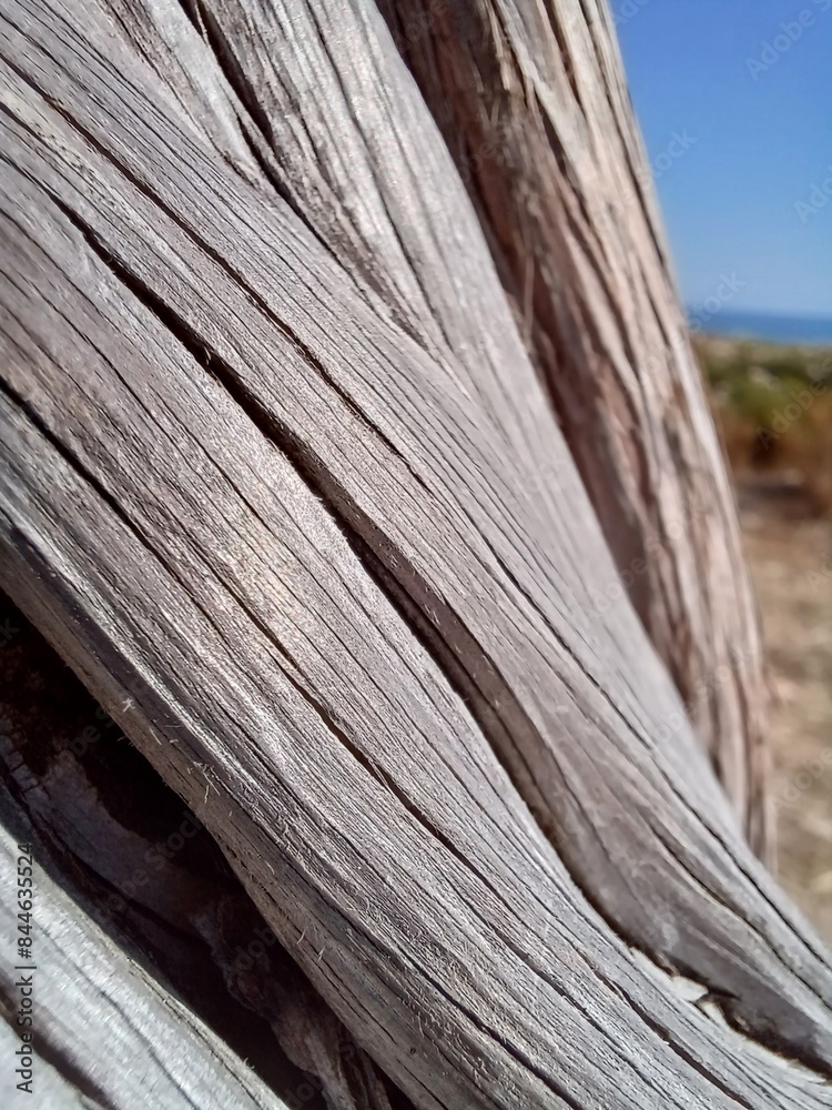 Fototapeta premium old wood texture