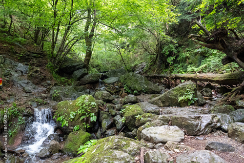 Fotografija A view of the mountain trail of Bounooreyama going up from Shiratanisawa Ascent