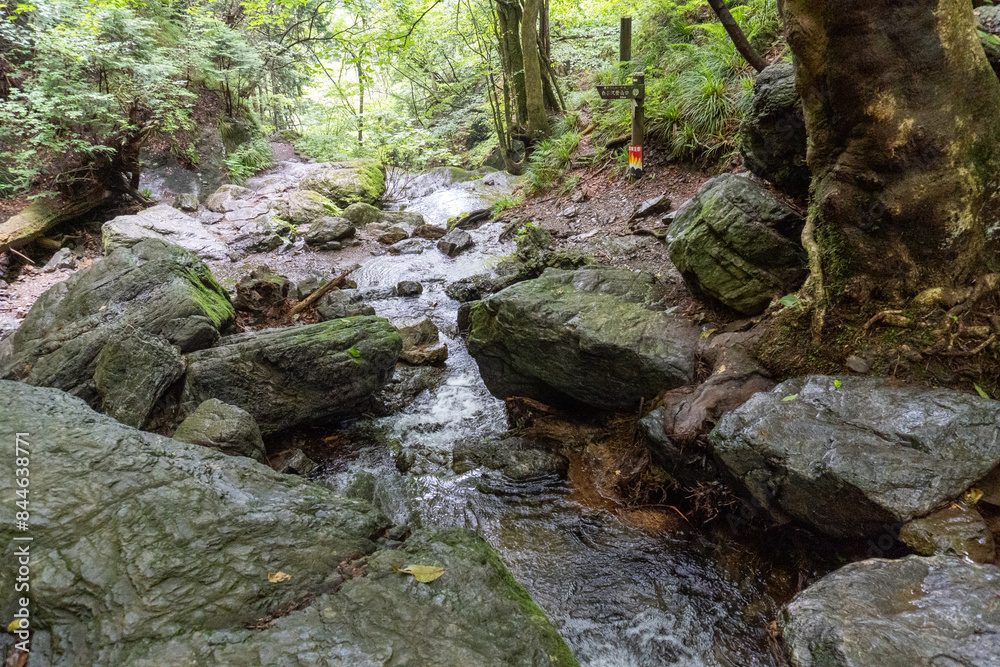 A view of the mountain trail of Bounooreyama going up from Shiratanisawa Ascent from the Shiratanisawa Ascent Yamaguchi A view of the mountain trail of Bounooreyama going up from Shiratanisawa Ascent from the Shiratanisawa Ascent Yamaguchi
