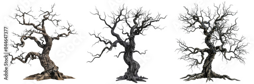 Wallpaper Mural set of haunted tree with twisted branches isolated on transparent background Torontodigital.ca