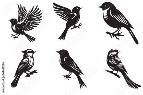 Quadro su tela bluebird silhouette vector illustration