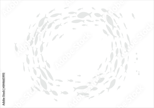 School barracuda fish and scuba divers. Barracuda fish school silhouette in ocean. 2296
