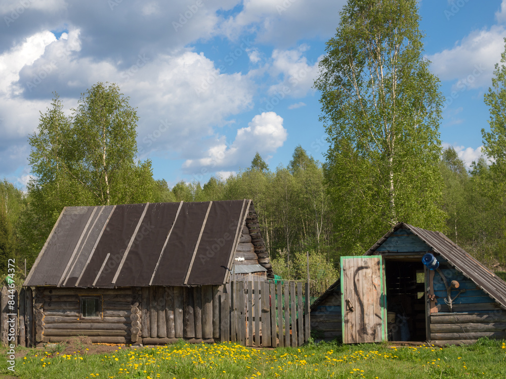 Obraz premium rural landscape in spring