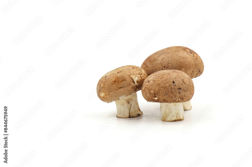 Fresh champignon mushrooms isolated on a white background. full depth of field. Fresh champignon mushrooms isolated on a white background. full depth of field.