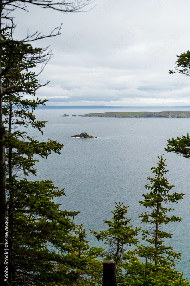 Cliffside views of Newfoundland ocean