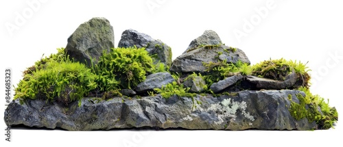 a stone enveloped in vibrant green moss stands as a testament to the beauty of natural simplicity