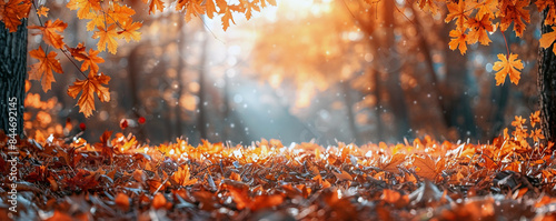Autumn background photo