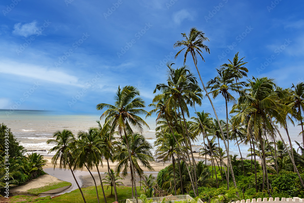 Fototapeta premium Nature of Vagator - wonderful red cliffs, palm trees, admirable Arabian Sea and golden sand. Bardez Taluka, Goa.