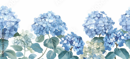 Seamless Horizontal Watercolor hydrangea isolated on background
