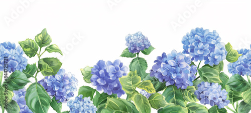 Seamless Horizontal Watercolor hydrangea isolated on background

